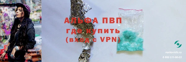 крисы Покачи