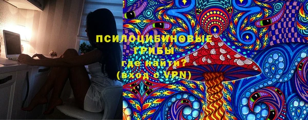 ПСИЛОЦИБИНОВЫЕ ГРИБЫ Абаза