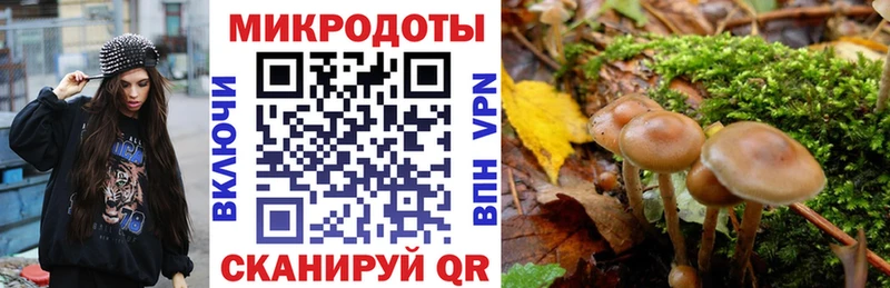 shop клад  MEGA маркетплейс  Мосальск  Галлюциногенные грибы Psilocybine cubensis 
