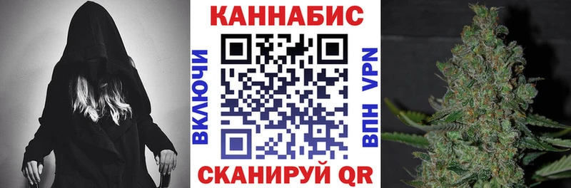 где купить наркоту  Мосальск  МАРИХУАНА сатива 
